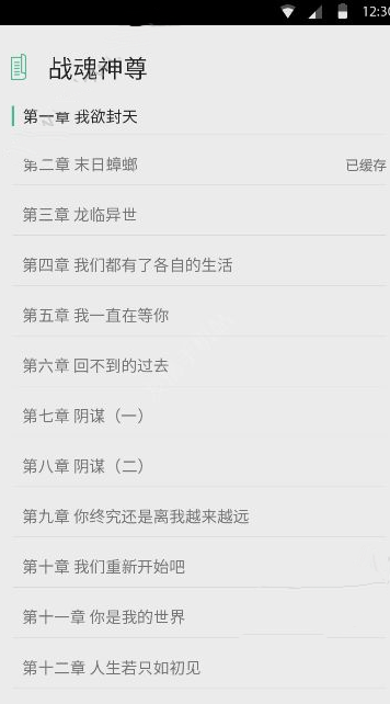 洪秀柱痛批民进党当局